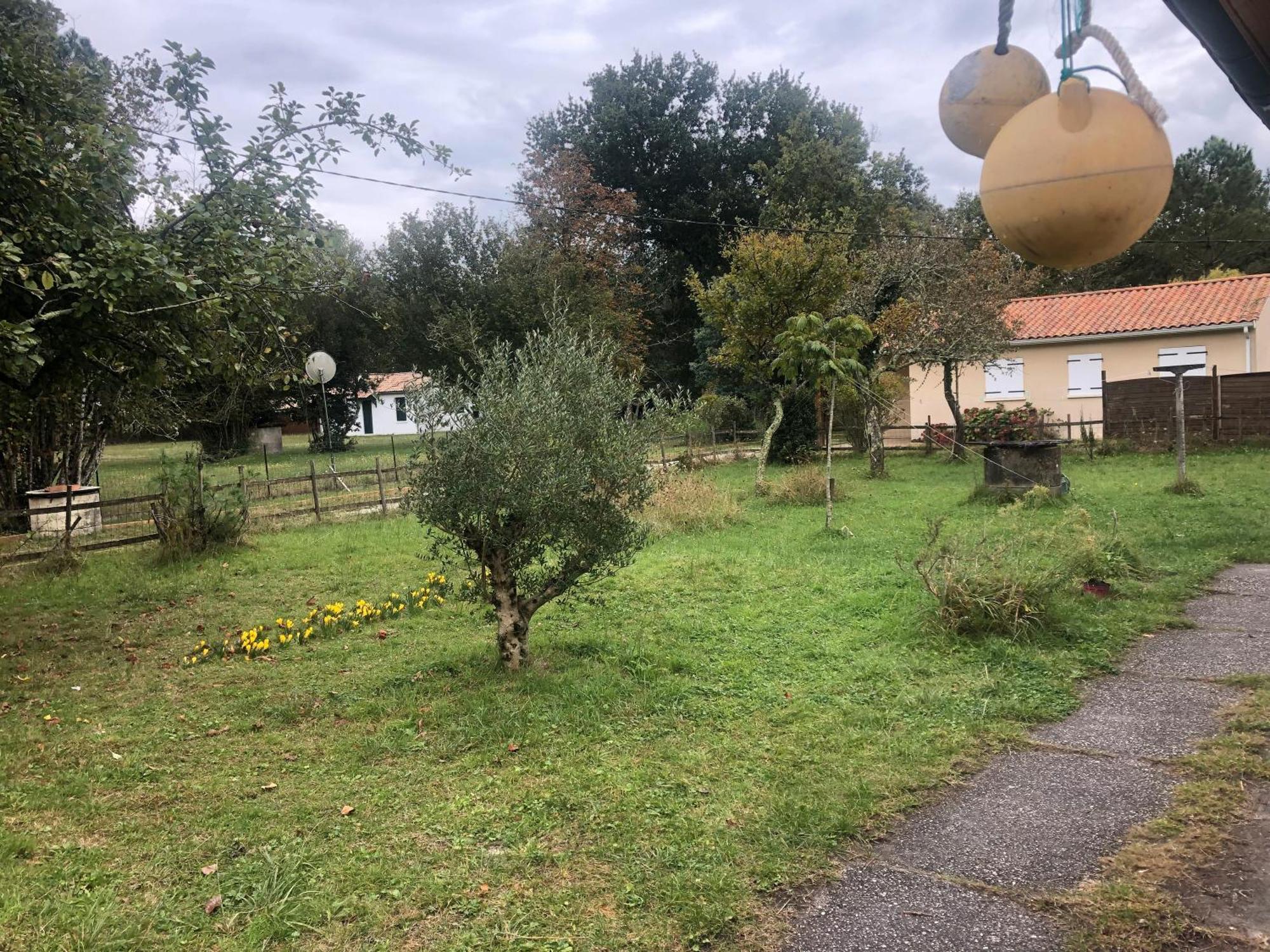 Petite Maison Rustique Et Atypique Hourtin Exterior photo
